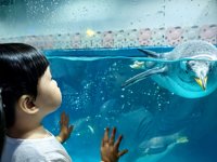 <h4>'IMG_20250628_110824.jpg' 2000 x 1500 | HUAWEI P60 | 2025-06-28 11:08:24</h4>