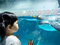 <h4>'IMG_20250628_110825_1.jpg' 2000 x 1500 | HUAWEI P60 | 2025-06-28 11:08:25</h4>