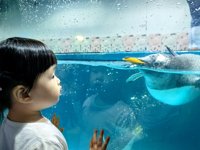 <h4>'IMG_20250628_110825.jpg' 2000 x 1500 | HUAWEI P60 | 2025-06-28 11:08:25</h4>