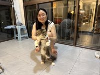 <h4>'IMG_2786.jpg' 1999 x 1500 | iPhone 16 Pro | 2025-06-08 21:46:46</h4>