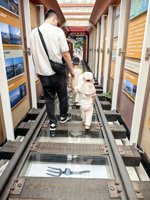 <h4>'IMG_20250705_095339.jpg' 1500 x 2000 | HUAWEI P60 | 2025-07-05 09:53:39</h4>