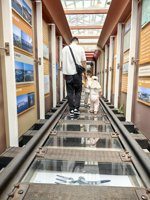 <h4>'IMG_20250705_095342.jpg' 1500 x 2000 | HUAWEI P60 | 2025-07-05 09:53:42</h4>