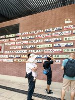 <h4>'IMG_20250705_101501.jpg' 1500 x 2000 | HUAWEI P60 | 2025-07-05 10:15:01</h4>