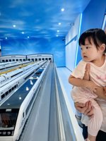 <h4>'IMG_20250705_102824.jpg' 1500 x 2000 | HUAWEI P60 | 2025-07-05 10:28:24</h4>