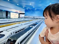 <h4>'IMG_20250705_102831.jpg' 2000 x 1500 | HUAWEI P60 | 2025-07-05 10:28:31</h4>