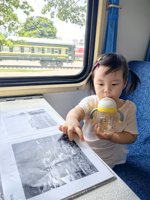 <h4>'IMG_20250705_110121.jpg' 1500 x 2000 | HUAWEI P60 | 2025-07-05 11:01:21</h4>