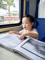 <h4>'IMG_20250705_110143.jpg' 1500 x 2000 | HUAWEI P60 | 2025-07-05 11:01:43</h4>