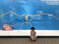 <h4>'IMG_3026.jpg' 1999 x 1500 | iPhone 16 Pro | 2025-07-12 11:07:32</h4>