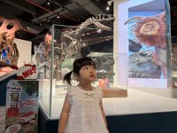 <h4>'IMG_3033.jpg' 1999 x 1500 | iPhone 16 Pro | 2025-07-12 11:11:13</h4>