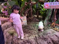 <h4>'IMG_3069.jpg' 1999 x 1500 | iPhone 16 Pro | 2025-07-19 11:04:15</h4>