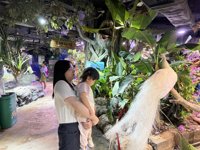 <h4>'IMG_3074.jpg' 1999 x 1500 | iPhone 16 Pro | 2025-07-19 11:05:14</h4>