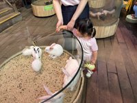 <h4>'IMG_3076.jpg' 1999 x 1500 | iPhone 16 Pro | 2025-07-19 11:10:55</h4>