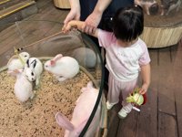 <h4>'IMG_3077.jpg' 1999 x 1500 | iPhone 16 Pro | 2025-07-19 11:10:59</h4>