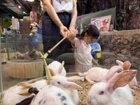 <h4>'IMG_3080.jpg' 1999 x 1500 | iPhone 16 Pro | 2025-07-19 11:11:33</h4>