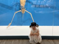 <h4>'IMG_E3027.jpg' 2000 x 1500 | iPhone 16 Pro | 2025-07-12 11:07:37</h4>