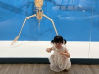 <h4>'IMG_E3028.jpg' 2000 x 1500 | iPhone 16 Pro | 2025-07-12 11:07:39</h4>