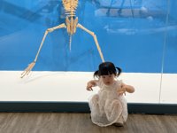 <h4>'IMG_E3029.jpg' 2000 x 1500 | iPhone 16 Pro | 2025-07-12 11:07:40</h4>