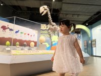 <h4>'IMG_E3031.jpg' 1999 x 1500 | iPhone 16 Pro | 2025-07-12 11:08:17</h4>