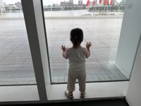 <h4>'IMG_3421.jpg' 1999 x 1500 | iPhone 16 Pro | 2025-08-16 11:20:57</h4>