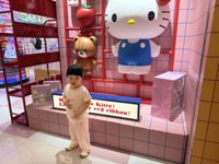 <h4>'IMG_3486.jpg' 1999 x 1500 | iPhone 16 Pro | 2025-08-23 10:51:40</h4>