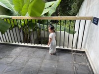 <h4>'IMG_3540.jpg' 1999 x 1500 | iPhone 16 Pro | 2025-08-30 14:23:50</h4>