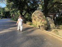 <h4>'IMG_3593.jpg' 1999 x 1500 | iPhone 16 Pro | 2025-08-30 17:15:13</h4>