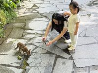 <h4>'IMG_3622.jpg' 2000 x 1500 | iPhone 16 Pro | 2025-08-30 17:59:24</h4>