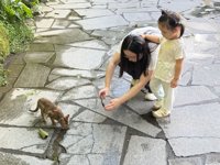 <h4>'IMG_3623.jpg' 2000 x 1500 | iPhone 16 Pro | 2025-08-30 17:59:30</h4>