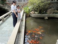 <h4>'IMG_3794.jpg' 1999 x 1500 | iPhone 16 Pro | 2025-08-31 12:31:20</h4>