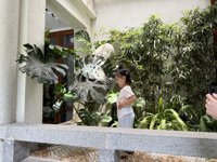 <h4>'IMG_3809.jpg' 1999 x 1500 | iPhone 16 Pro | 2025-08-31 12:37:02</h4>