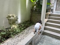 <h4>'IMG_3811.jpg' 1999 x 1500 | iPhone 16 Pro | 2025-08-31 12:38:12</h4>