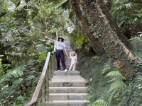 <h4>'IMG_E3709.jpg' 2000 x 1500 | iPhone 16 Pro | 2025-08-31 10:24:30</h4>