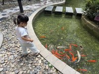 <h4>'IMG_3894.JPG' 1999 x 1500 | iPhone 16 Pro | 2025-09-06 14:25:28</h4>