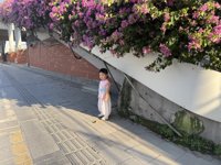 <h4>'IMG_3961.JPG' 1999 x 1500 | iPhone 16 Pro | 2025-09-14 17:08:51</h4>