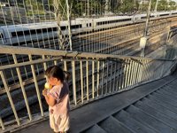 <h4>'IMG_3980.JPG' 2000 x 1500 | iPhone 16 Pro | 2025-09-14 17:23:46</h4>