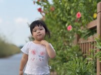 <h4>'IMG_E3900.JPG' 2000 x 1500 | iPhone 16 Pro | 2025-09-06 16:03:00</h4>