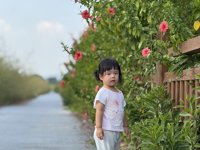 <h4>'IMG_E3902.JPG' 2000 x 1500 | iPhone 16 Pro | 2025-09-06 16:03:27</h4>