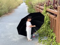 <h4>'IMG_E3903.JPG' 2000 x 1500 | iPhone 16 Pro | 2025-09-06 16:05:53</h4>