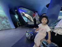 <h4>'IMG_4251.JPG' 2000 x 1500 | iPhone 16 Pro | 2025-10-01 13:07:35</h4>