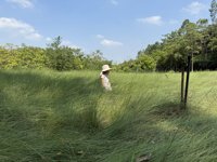 <h4>'IMG_4545.JPG' 1999 x 1500 | iPhone 16 Pro | 2025-10-07 11:13:12</h4>