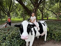 <h4>'IMG_4646.JPG' 1999 x 1500 | iPhone 16 Pro | 2025-10-12 11:52:47</h4>