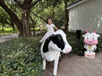 <h4>'IMG_4647.JPG' 1999 x 1500 | iPhone 16 Pro | 2025-10-12 11:52:55</h4>