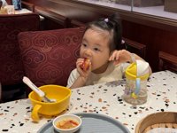 <h4>'IMG_4661.JPG' 2000 x 1500 | iPhone 16 Pro | 2025-10-12 13:01:55</h4>