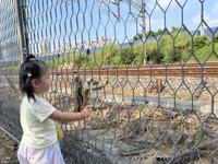 <h4>'IMG_4727.JPG' 1999 x 1500 | iPhone 16 Pro | 2025-10-18 15:01:45</h4>