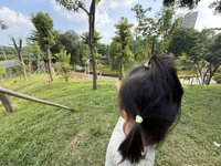 <h4>'IMG_4733.JPG' 2000 x 1500 | iPhone 16 Pro | 2025-10-18 15:25:20</h4>