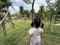 <h4>'IMG_4734.JPG' 2000 x 1500 | iPhone 16 Pro | 2025-10-18 15:25:24</h4>