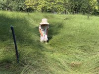 <h4>'IMG_E4543.JPG' 2000 x 1500 | iPhone 16 Pro | 2025-10-07 11:12:55</h4>