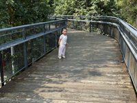 <h4>'IMG_E4560.JPG' 2000 x 1500 | iPhone 16 Pro | 2025-10-07 11:38:55</h4>